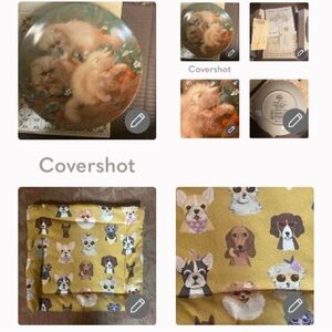 Strawberries & cream Persians plates w papers+8”🐾Dogs🐕hot plate/pot holder